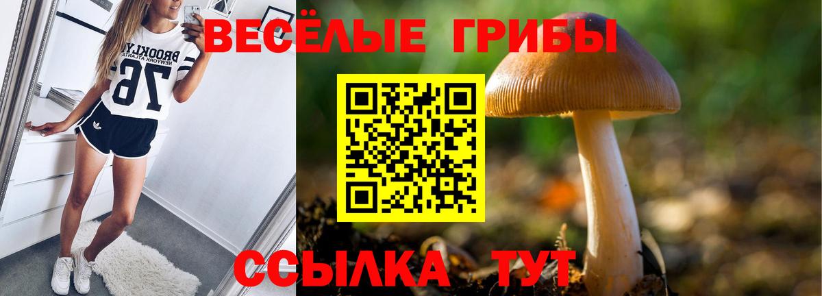Псилоцибиновые грибы ЛСД  Вход с VPN  Димитровград 
